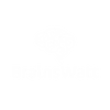 logo brainswatt
